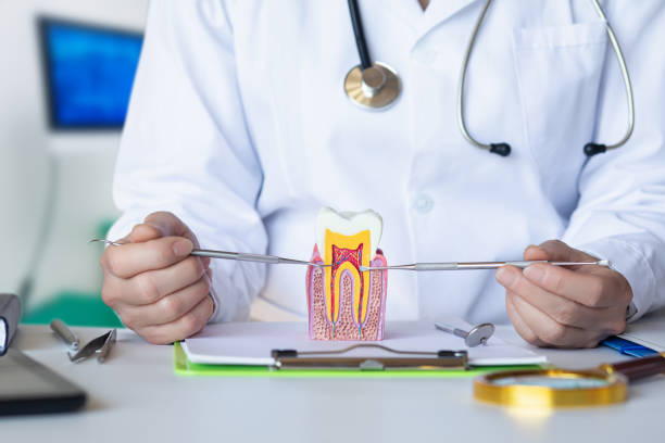 Best Emergency Dentist for Lost Fillings or Crowns in Coalinga, CA